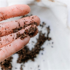 Скраб для тела, кофейный, натуральный «Мята»