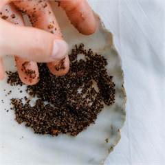 Скраб для тела, кофейный, натуральный «Грейпфрут и корица»