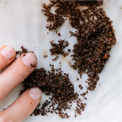 Скраб для тела, кофейный, натуральный «Грейпфрут и корица»