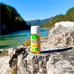 Нативное зеленое масло