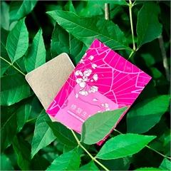 Биостикер гинекологический при нарушениях женского здоровья