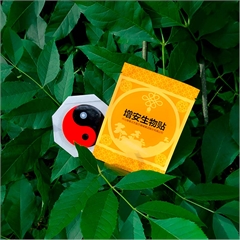 Биостикер магнитный урологический при нарушениях мочевыделительной системы